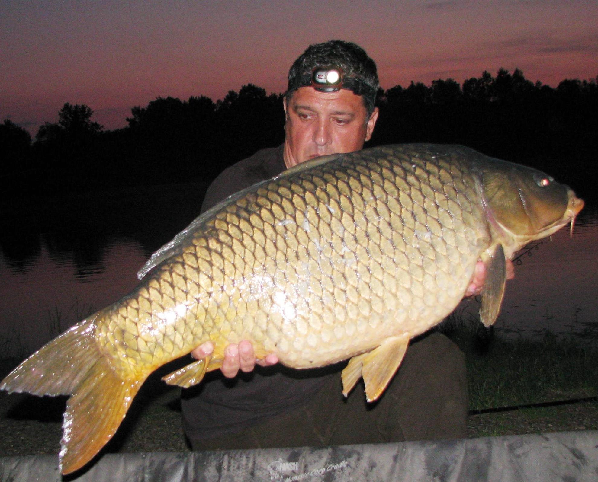 Pelagicevo Jezero  mai 2015 - img2150.JPG